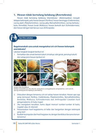 90 Kelas VII SMP/MTs Edisi Revisi Semester 1
1.	 Hewan tidak bertulang belakang (Avertebrata)
Hewan tidak bertulang belakang (Avertebrata) dikelompokkan menjadi
delapankelompok,yaituhewanberpori(Porifera), hewan berongga (Coelenterata),
cacing pipih (Platyheminthes), cacing gilig (Nemathelminthes), cacing berbuku-
buku (Annelida), hewan lunak (Mollusca), hewan berkulit duri (Echinodermata),
dan hewan dengan kaki beruas-ruas (Arthropoda).
Bagaimanakah cara untuk mengetahui ciri-ciri hewan kelompok
avertebrata?
Lakukan langkah-langkah berikut ini!
1.	 Perhatikan dan amati bentuk tubuh (misalnya: alat gerak, penutup tubuh)
dari setiap jenis hewan berikut ini!
2.	 Diskusikan dengan temanmu ciri-ciri setiap hewan tersebut. Hewan apa saja
yang termasuk Porifera, Coelenterata, Platyheminthes, Nemathelminthes,
Annelida, Mollusca, Echinodermata dan Arthropoda? Catatlah hasil
pengamatanmu di buku tugas!
3.	 Jika mengalami kesulitan, kamu dapat mencari sumber-sumber di buku,
majalah atau di internet!
4.	 Presentasikan hasil kegiatanmu di kelas dan bergantian dengan kelompok
yang lain!
5.	 Buatlah kesimpulan dari hasil kegiatan itu dengan berdiskusi bersama teman-
temanmu!
Sumber: Dok. Kemdikbud
Gambar 3.32 porifera (a), ubur-ubur (b), cacing pita (c), cacing gelang (d), cacing tanah (e), cumi-cumi (f),
siput (g), bintang laut (h), kepiting (i), dan lebah (j),
(a)
(f)
(b)
(g)
(c)
(h)
(d)
(i)
(e)
(j)
Ayo Kita Lakukan
 