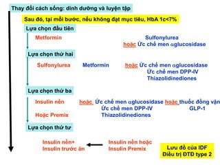 Thay đổi cách sống: dinh dưỡng và luyện tập
Sau đó, tại mỗi bước, nếu không đạt mục tiêu, HbA 1c<7%
Lựa chọn đầu tiên
Lựa chọn thứ hai
Sulfonylurea Metformin hoặc Ức chế men glucosidase
Ức chế men DPP-IV
Thiazolidinediones
Lựa chọn thứ ba
Insulin nền hoặc Ức chế men glucosidase hoặc thuốc đồng vận
Ức chế men DPP-IV GLP-1
Hoặc Premix Thiazolidinediones
Lựa chọn thứ tư
Insulin nền+ Insulin nền hoặc
Insulin trước ăn Insulin Premix
Metformin Sulfonylurea
hoặc Ức chế men glucosidase
Lưu đồ của IDF
Điều trị ĐTĐ type 2
 