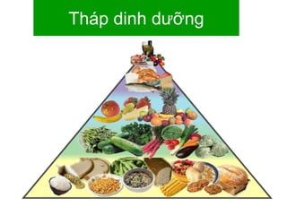 Tháp dinh dưỡng
 
