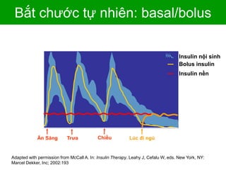 InsulinEffect
Ăn Sáng ChiềuTrưa Lúc đi ngủ
Bolus insulin
Insulin nền
Bắt chước tự nhiên: basal/bolus
Insulin nội sinh
Adapted with permission from McCall A. In: Insulin Therapy. Leahy J, Cefalu W, eds. New York, NY:
Marcel Dekker, Inc; 2002:193
 