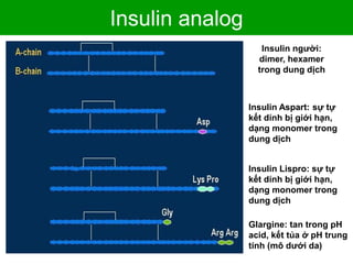 Insulin analog
Insulin người:
dimer, hexamer
trong dung dịch
Insulin Aspart: sự tự
kết dính bị giới hạn,
dạng monomer trong
dung dịch
Insulin Lispro: sự tự
kết dính bị giới hạn,
dạng monomer trong
dung dịch
Glargine: tan trong pH
acid, kết tủa ở pH trung
tính (mô dưới da)
 