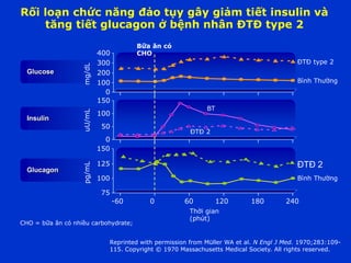 75
100
125
150
Rối loạn chức năng đảo tụy gây giảm tiết insulin và
tăng tiết glucagon ở bệnh nhân ĐTĐ type 2
Reprinted with permission from Müller WA et al. N Engl J Med. 1970;283:109-
115. Copyright © 1970 Massachusetts Medical Society. All rights reserved.
pg/mL
CHO = bữa ăn có nhiều carbohydrate;
Thời gian
(phút)
0 60 120 180 240-60
Glucagon
0
50
100
150
uU/mL
Insulin
Glucose
ĐTĐ 2
BT
ĐTĐ 2
Bình Thường
0
100
200
300
400
Bữa ăn có
CHO
mg/dL
ĐTĐ type 2
Bình Thường
 
