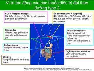 Strictly Confidential. Proprietary information of Novartis. For internal use ONLY. March 2010. GAL10.497. Novartis.
Vị trí tác động của các thuốc điều trị đái tháo
đường type 2
DDP-4=dipeptidyl peptidase-4; GLP-1=glucagon-like peptide-1; T2DM=type 2 diabetes mellitus.
Adapted from Cheng AY, Fantus IG. CMAJ. 2005; 172: 213–226. Ahrén B, Foley JE. Int J Clin Pract. 2008; 62: 8–14.
-glucosidase inhibitors
Làm chậm sự hấp thu
carbohydrate
Thiazolidinediones
Giảm ly giải mô mỡ
Tăng thu nạp glucose ở
mô cơ vân
Giảm sản xuất glucose ở
gan
Sulfonylureas
Tăng tiết insulin từ tế bào
-tụy
GLP-1 receptor analogs
Cải thiện cảm ứng của đảo tụy với glucose,
giảm cảm giác thèm ăn
Glinides
Tăng tiết insulin từ tế bào
-tụy
Ức chế men DPP-4 (Gliptins)
Kéo dài tác dụng GLP-1 ->cải thiện cảm
ứng của đảo tụy với glucose, tăng thu
nạp glucose
 
