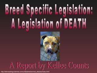 Breed Specific Legislation:  A Legislation of DEATH A Report by Kellee Counts http://latimesblogs.latimes.com/unleashed/animal_attacks/index.html 