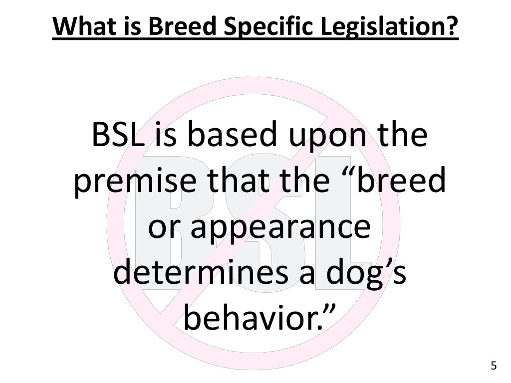 Breed Specific Legislation