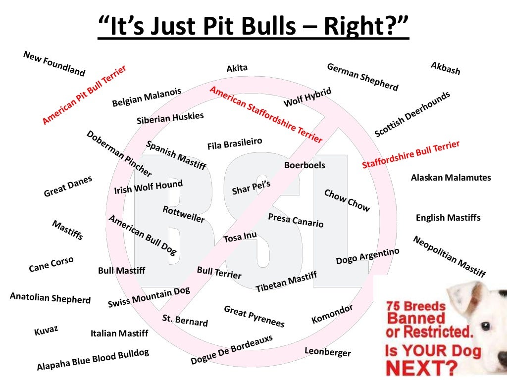 Breed Specific Legislation