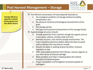 22nd March, 2013 Page No. : 4
Post Harvest Management – Storage
Storage efficiency
depends on Biotic
(living agents) and
Non-Biotic factors
 The efficient conservation of maize depends basically on
 the ecological conditions of storage (relative humidity,
temperature, etc.)
 the physical, chemical and biological characteristics of the
grain
 the storage period
 the type and functional characteristics of the storage facility
 A good storage structure should:
 Provide protection from common storage loss agents such as
insect pests, rodents, moulds, birds and man.
 Maintain an even, cool and dry storage environment. The
maize should be placed on pellets above the floor to avoid
cold conditions that may lead to moulds.
 Should not allow re-wetting of grain by either moisture
migration or rain.
 Offer reasonable protection from thieves, natures vagaries or
any other factor of physical damage
 Allow aeration as it helps in keeping down the relative
humidity of interstitial gases
 Proper sanitization and fumigation to prevent growth of
pathogens
 