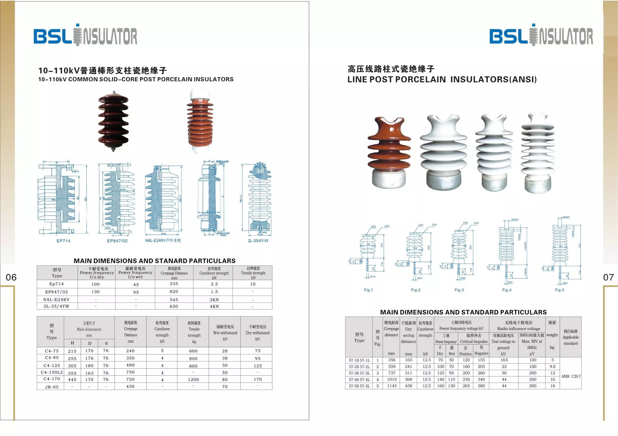 BSL Insulator Catalog PDF