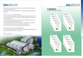 BSL Insulator Catalog