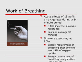 Work of Breathing 
 Acute effects of 15 puffs 
on a cigarette during a 5- 
minute period 
 3 fold increase in airway 
resistance 
 Lasts an average 35 
minutes 
 Smokers exercising at 
80% 
 Energy requirement of 
breathing after smoking 
was 14% of oxygen 
uptake 
 Energy requirement of 
breathing no cigarettes 
was only 9%. 
 