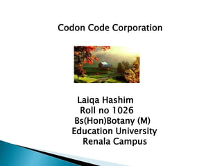 Codon Code Corporation 
Laiqa Hashim 
Roll no 1026 
Bs(Hon)Botany (M) 
Education University 
Renala Campus 
 