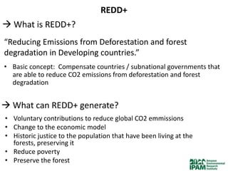 REDD+
 What is REDD+?
“Reducing Emissions from Deforestation and forest
degradation in Developing countries.”
• Basic concept: Compensate countries / subnational governments that
  are able to reduce CO2 emissions from deforestation and forest
  degradation


 What can REDD+ generate?
• Voluntary contributions to reduce global CO2 emmissions
• Change to the economic model
• Historic justice to the population that have been living at the
  forests, preserving it
• Reduce poverty
• Preserve the forest
 