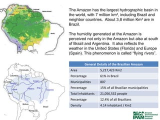 The Amazon has the largest hydrographic basin in
the world, with 7 million km², including Brazil and
neighbor countries. About 3,8 million Km² are in
Brazil.

The humidity generated at the Amazon is
perceived not only in the Amazon but also at south
of Brazil and Argentina. It also reflects the
weather in the United States (Florida) and Europe
(Spain). This phenomenon is called “flying rivers”.

          General Details of the Brazilian Amazon
Area                5,217,423 Km2
Percentage          61% in Brazil
Municipalities      807
Percentage          15% of all Brazilian municipalities
Total inhabitants   21,056,532 people
Percentage          12.4% of all Brazilians
Density             4.14 inhabitant / Km2
 
