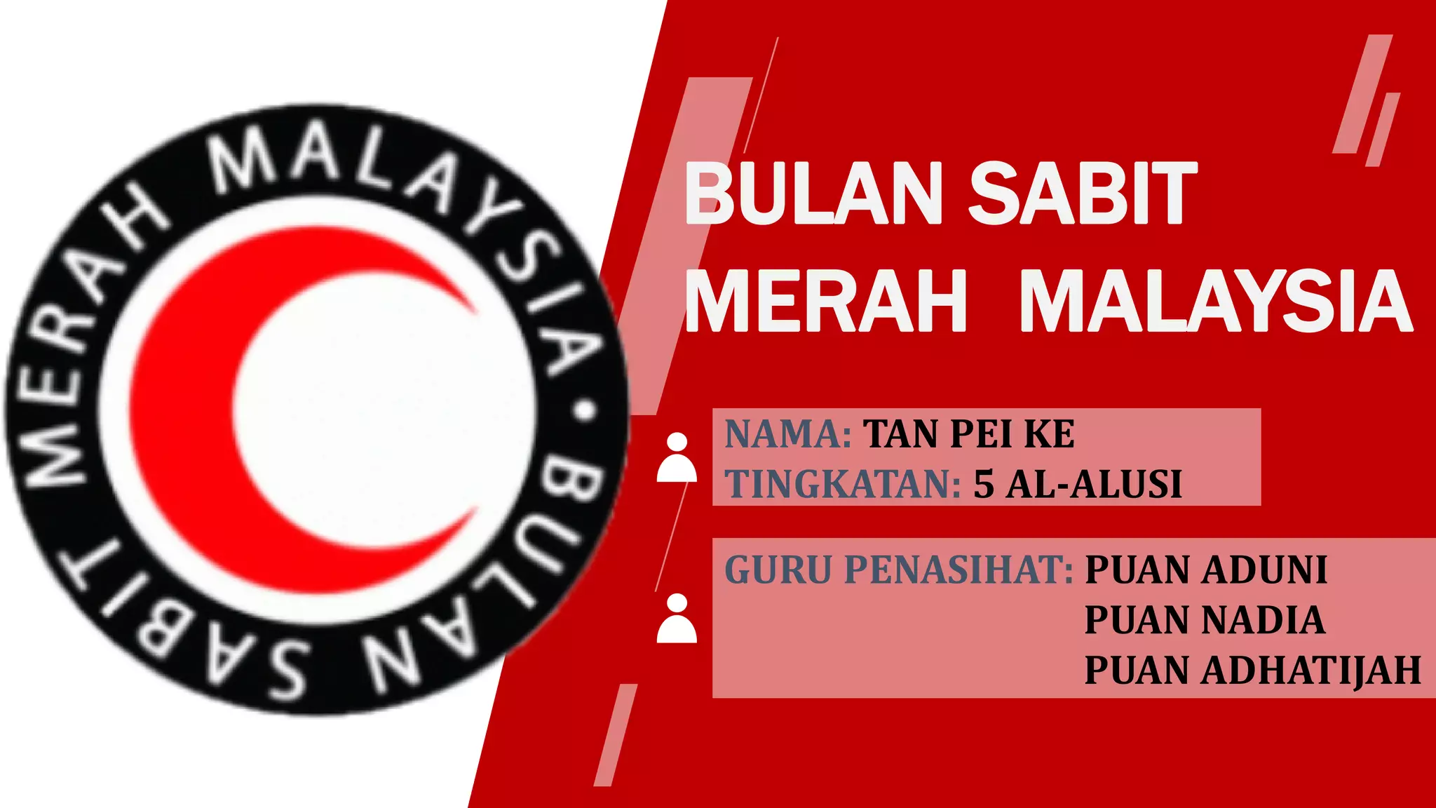 BSMM.pdf