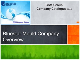 Bluestar Mould Company
Overview
BSM Group, Global
BSM Group
Company Catalogue Rev6
1
 