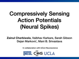 Compressively Sensing
   Action Potentials
    (Neural Spikes)
Zainul Charbiwala, Vaibhav Karkare, Sarah Gibson
        Dejan Marković, Mani B. Srivastava

           In collaboration with UCLA Neuroscience
 
