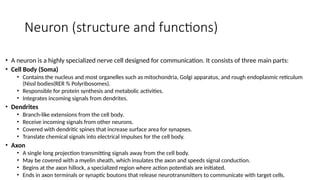 structure and function of nervous system | PPTX