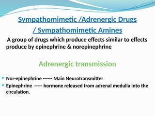 Comprehensive Overview of Sympathomimetic Drugs and Their Pharmacology ...