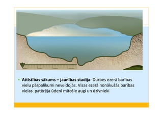 Attīstības sākums – jaunības stadija: Durbes ezerā barības 
vielu pārpalikumi neveidojās. Visas ezerā nonākušās barības 
vielas patērēja ūdenī mītošie augi un dzīvnieki 
 