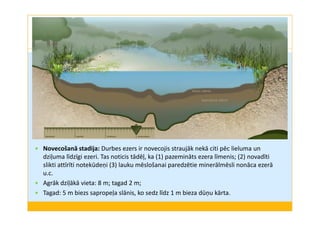 Novecošanā stadija: Durbes ezers ir novecojis straujāk nekā citi pēc lieluma un 
dziļuma līdzīgi ezeri. Tas noticis tādēļ, ka (1) pazemināts ezera līmenis; (2) novadīti 
slikti attīrīti notekūdeņi (3) lauku mēslošanai paredzētie minerālmēsli nonāca ezerā 
u.c. 
 Agrāk dziļākā vieta: 8 m; tagad 2 m; 
 Tagad: 5 m biezs sapropeļa slānis, ko sedz līdz 1 m bieza dūņu kārta. 
 