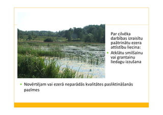 Par cilvēka 
darbības izraisītu 
paātrinātu ezera 
attīstību liecina: 
 Atklātu smilšainu 
vai grantainu 
liedagu izzušana 
 Novērtējam vai ezerā neparādās kvalitātes pasliktināšanās 
pazīmes 
 