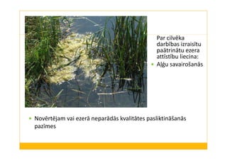 Par cilvēka 
darbības izraisītu 
paātrinātu ezera 
attīstību liecina: 
 Aļģu savairošanās 
 Novērtējam vai ezerā neparādās kvalitātes pasliktināšanās 
pazīmes 
 