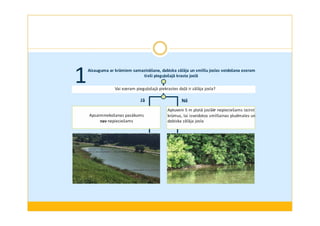 Aizauguma ar krūmiem samazināšana, dabiska zālāja un smilšu joslas veidošana ezeram 
1tieši pieguļošajā krasta joslā 
Vai ezeram pieguļošajā piekrastes daļā ir zālāja josla? 
Jā Nē 
Apsaimniekošanas pasākums 
nav nepieciešams 
5 m Aptuveni platā 5 m joslā ir platā joslāi r nepieciešams cirst nepieciešams krūmus, lai 
izcirst 
krūmus, izveidotos lai izveidotos smilšainas smilšainas pludmales un pludmales dabiska 
un 
zālāja dabiska josla 
zālāja josla 
 