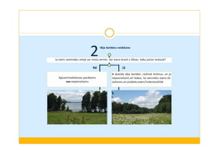 2Vēja koridoru veidošana 
Ja ezers neatrodas ielejā vai meža zemēs. Vai ezera krasti ir blīvas koku joslas ieskauti? 
Nē Jā 
Apsaimniekošanas pasākums 
nav nepieciešams 
5 Ir m platā jāveido vēja joslā ir koridori, nepieciešams izcērtot cirst krūmus, krūmus, un ja 
lai 
izveidotos nepieciešams arī smilšainas kokus, lai pludmales veicinātu un ezera dabiska 
viļ-ņošanos 
zālāja josla 
un uzlabotu ezera funkcionalitāti 
 