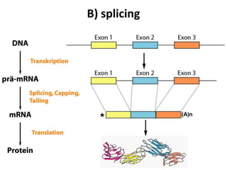 B) splicing
 