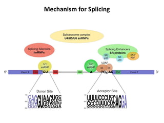 Mechanism for Splicing
 