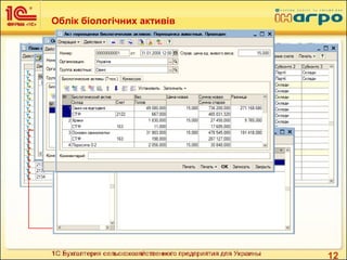 12
Облік біологічних активів
 Реалізований стандарт №30 ПСБУ;
 Ведення довідника біологічних активів;
 Операція «прибуткування незавершеного виробництва
рослинництва»;
 Операція «Переоцінка біологічних активів (прибуткування для
справедливих цін)»
 
