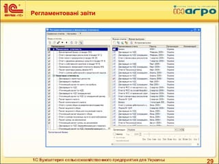 29
Регламентовані звіти
 