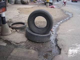 Búsqueda de criaderos