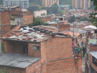 Búsqueda de criaderos