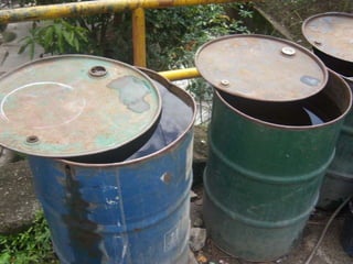 Búsqueda de criaderos