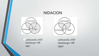 NIDACION
salmonella AND
hamburger OR
eggs
salmonella AND
(hamburger OR
eggs)
 