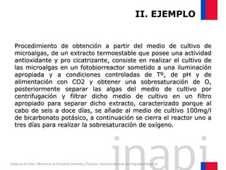 II. EJEMPLO
Procedimiento de obtención a partir del medio de cultivo deProcedimiento de obtención a partir del medio de cultivo de
microalgas, de un extracto termoestable que posee una actividadmicroalgas, de un extracto termoestable que posee una actividad
antioxidante y pro cicatrizante, consiste en realizar el cultivo deantioxidante y pro cicatrizante, consiste en realizar el cultivo de
las microalgas en un fotobiorreactor sometido a una iluminaciónlas microalgas en un fotobiorreactor sometido a una iluminación
apropiada y a condiciones controladas de Tº, de pH y deapropiada y a condiciones controladas de Tº, de pH y de
alimentación con CO2 y obtener una sobresaturación de O,alimentación con CO2 y obtener una sobresaturación de O,
posteriormente separar las algas del medio de cultivo porposteriormente separar las algas del medio de cultivo por
centrifugación y filtrar dicho medio de cultivo en un filtrocentrifugación y filtrar dicho medio de cultivo en un filtro
apropiado para separar dicho extracto, caracterizado porque alapropiado para separar dicho extracto, caracterizado porque al
cabo de seis a doce días, se añade al medio de cultivo 100mg/lcabo de seis a doce días, se añade al medio de cultivo 100mg/l
de bicarbonato potásico, a continuación se cierra el reactor uno ade bicarbonato potásico, a continuación se cierra el reactor uno a
tres días para realizar la sobresaturación de oxígeno.tres días para realizar la sobresaturación de oxígeno.
 