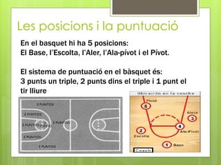 Les posicions i la puntuació
En el basquet hi ha 5 posicions:
El Base, l’Escolta, l’Aler, l’Ala-pívot i el Pívot.
El sistema de puntuació en el bàsquet és:
3 punts un triple, 2 punts dins el triple i 1 punt el
tir lliure
 