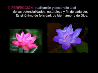 4) PERFECCIÓN: realización y desarrollo total
de las potencialidades, naturaleza y fin de cada ser.
Es sinónimo de felicidad, de bien, amor y de Dios.
 