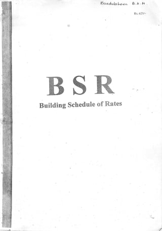 BSR.pdf