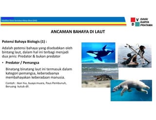 ANCAMAN BAHAYA DI LAUT
Potensi Bahaya Biologis (1) :
Adalah potensi bahaya yang disebabkan oleh
bintang laut, dalam hal ini terbagi menjadi
dua jenis: Predator & bukan predator
• Predator / Pemangsa
Binatang binatang laut ini termasuk dalam
kategori pemangsa, keberadaanya
membahayakan keberadaan manusia.
Contoh : Ikan hiu, buaya muara, Paus Pembunuh,
Beruang kutub dll.
 