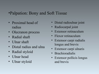 BSSH Overseas_ Anatomy of hand_ wrist and forearm.PPT