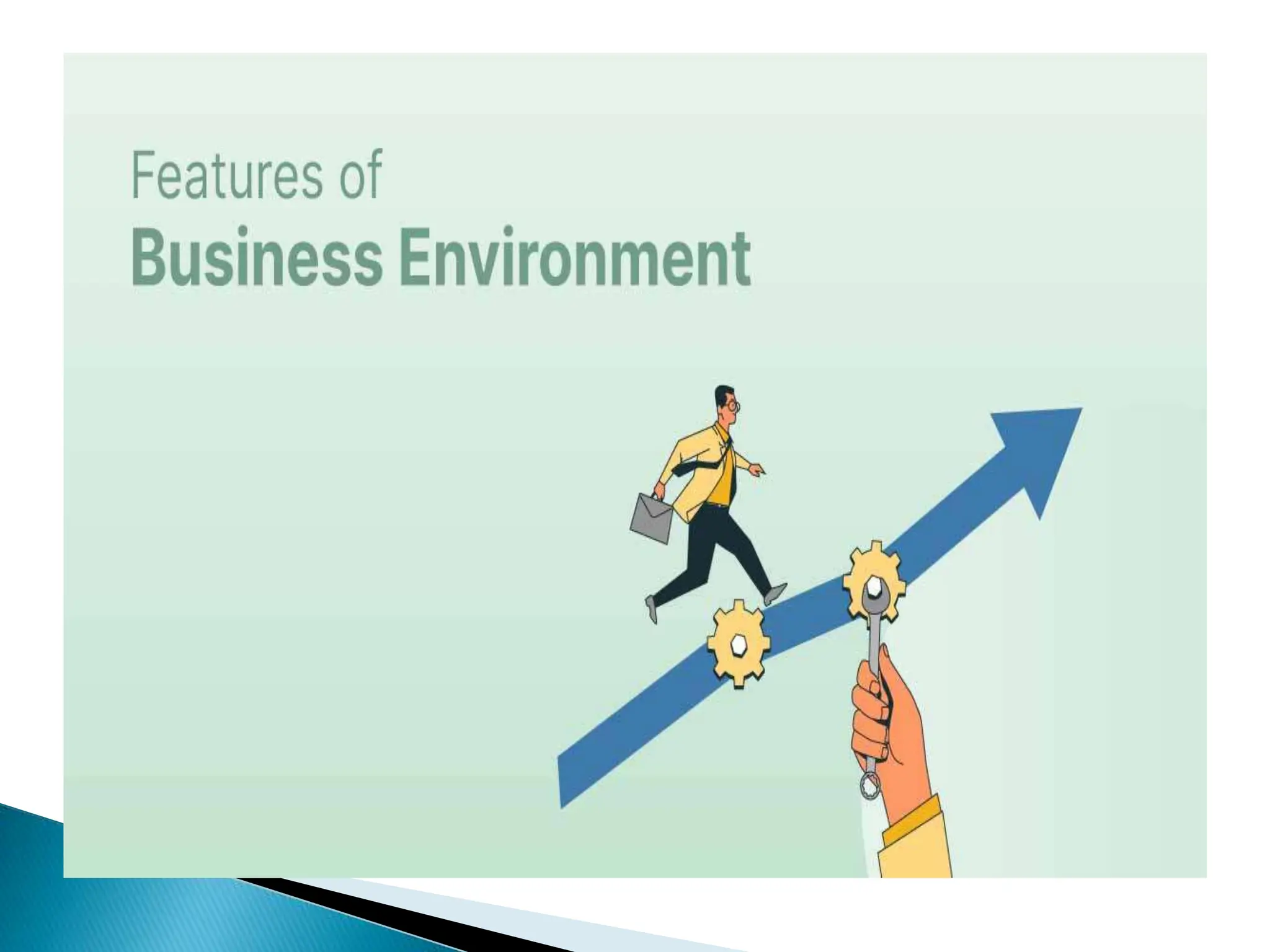 BSTPROJECTFORCLASS12ONBUSINESSENVIRONMENT.pptx