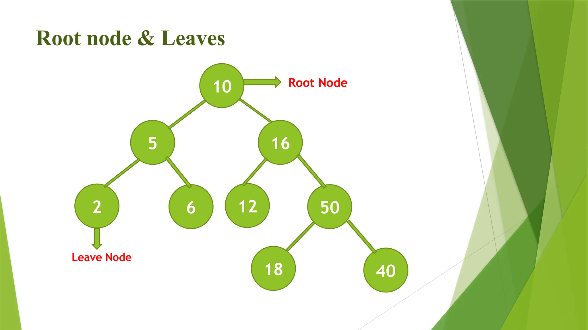 Root node & Leaves
10
16
5
6
2 50
12
40
18
Root Node
Leave Node
 