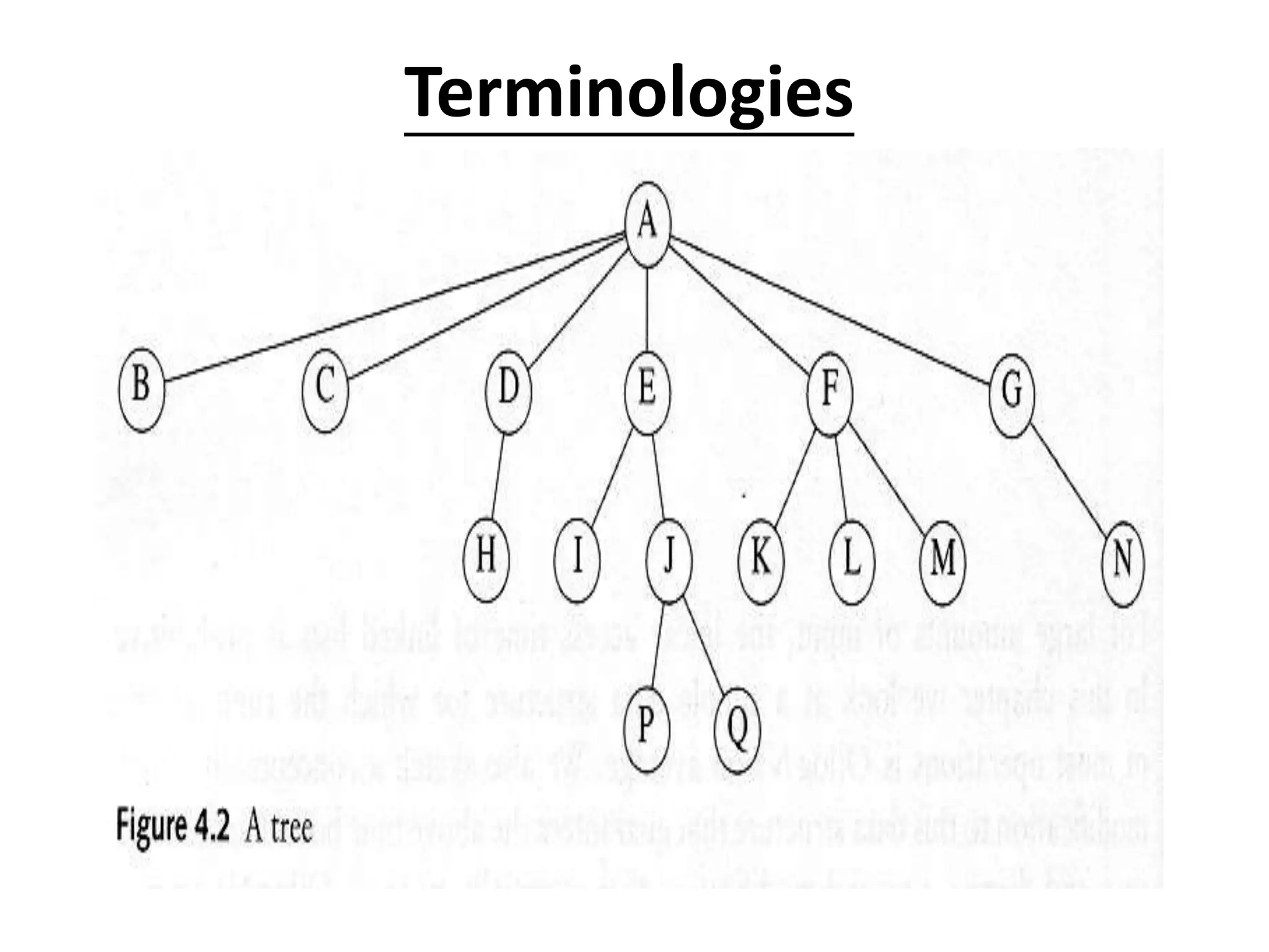 Terminologies
 