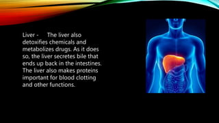 T
Liver - The liver also
detoxifies chemicals and
metabolizes drugs. As it does
so, the liver secretes bile that
ends up back in the intestines.
The liver also makes proteins
important for blood clotting
and other functions.
 