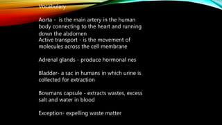 Vocabulary
Aorta - is the main artery in the human
body connecting to the heart and running
down the abdomen
Active transport - is the movement of
molecules across the cell membrane
Adrenal glands - produce hormonal nes
Bladder- a sac in humans in which urine is
collected for extraction
Bowmans capsule - extracts wastes, excess
salt and water in blood
Exception- expelling waste matter
 