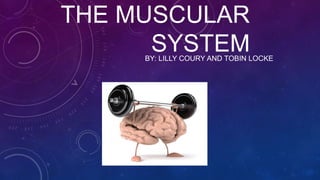 THE MUSCULAR
SYSTEMBY: LILLY COURY AND TOBIN LOCKE
 