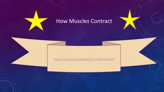 https://m.youtube.com/watch?v=e3Nq-P1ww5E
How Muscles Contract
 