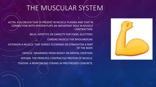 THE MUSCULAR SYSTEM
ACTIN- A GLOBULIN THAT IS PRESENT IN MUSCLE PLASMA AND THAT IN
CONNECTION WITH MYOSIN PLAYS AN IMPORTANT ROLE IN MUSCLE
CONTRACTION.
BELLY- APPETITE OR CAPACITY FOR FOOD, GLUTTONY.
CARDIAC MUSCLE-THE MYOCARDIUM.
EXTENSOR-A MUSCLE THAT SERVES TO EXPAND OR STRAIGHTEN A PART
OF THE BODY.
FATIGUE- WEARINESS FROM BODILY OR MENTAL EXERTION.
MYOSIN- THE PRINCIPLE CONTRACTILE PROTEIN OF MUSCLE.
TENDON- A REINFORCING STRAND IN PRESTRESSED CONCRETE.
 
